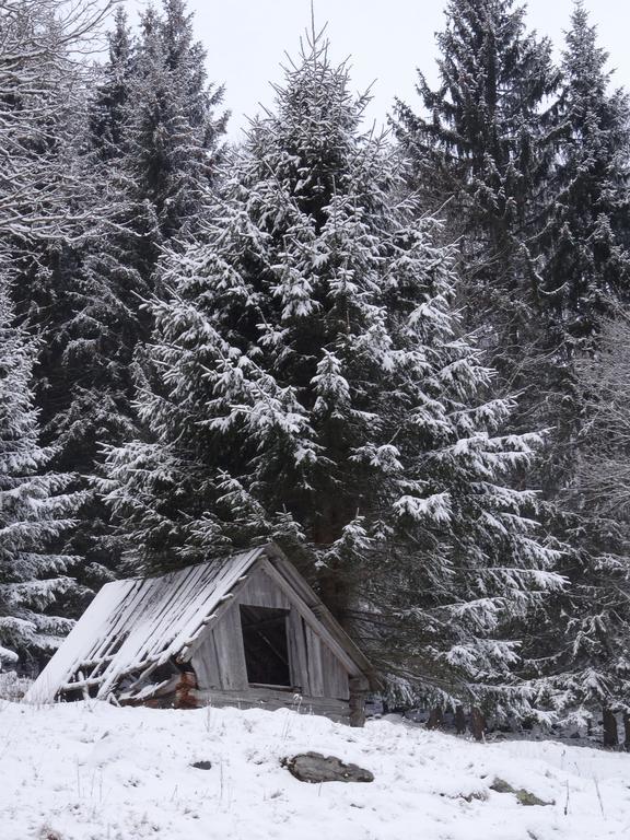 Rojerhof Villa Schladming Luaran gambar