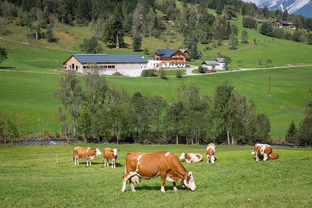 Rojerhof Villa Schladming Luaran gambar