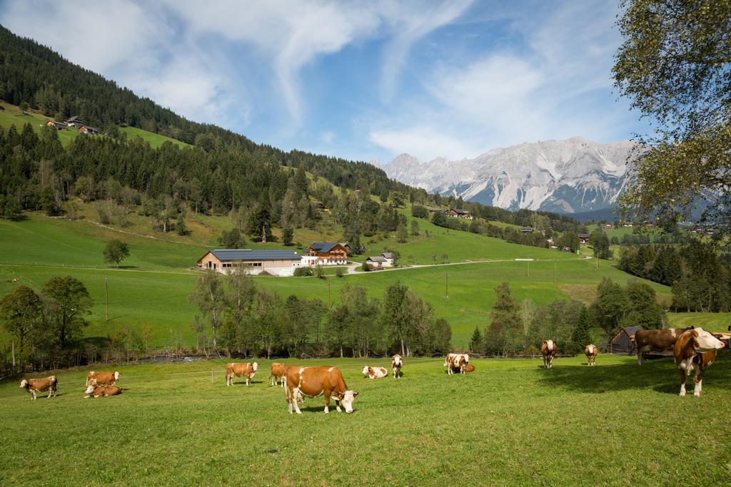 Rojerhof Villa Schladming Luaran gambar